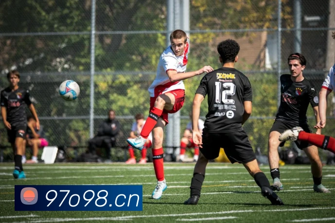 乐鱼在线登录官网平台生态图